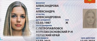 электронный паспорт