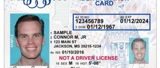Identifikatsionnaya karta - Паспорт США: порядок получения, срок действия