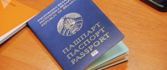паспорт Республики Беларусь