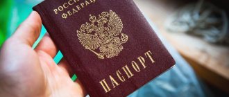 получение паспорта после гражданства