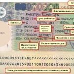 Расшифровка шенгенской визы