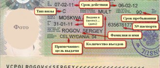 Расшифровка шенгенской визы